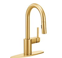 moen-faucet.png